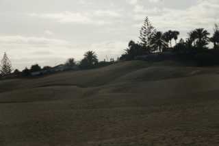 DSC04057.JPG