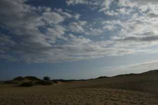 DSC04065.JPG