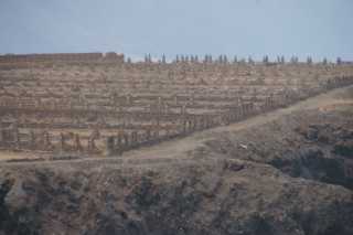 DSC04214.JPG