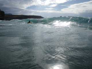 IMGP0941.JPG
