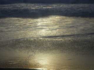 IMGP0962.JPG