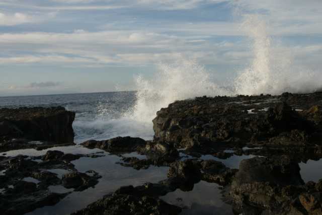 DSC03635.JPG