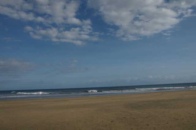 DSC04050.JPG