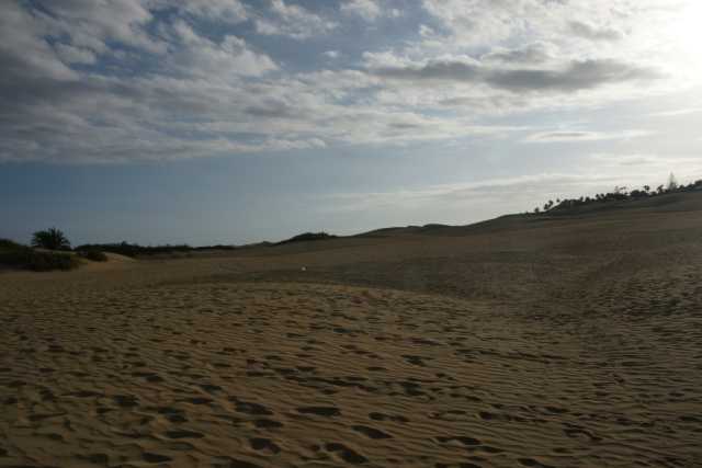 DSC04051.JPG