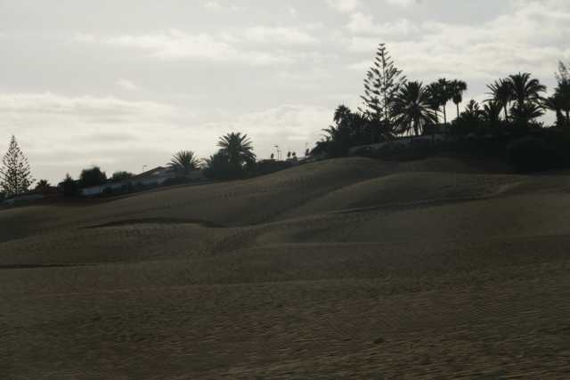 DSC04057.JPG