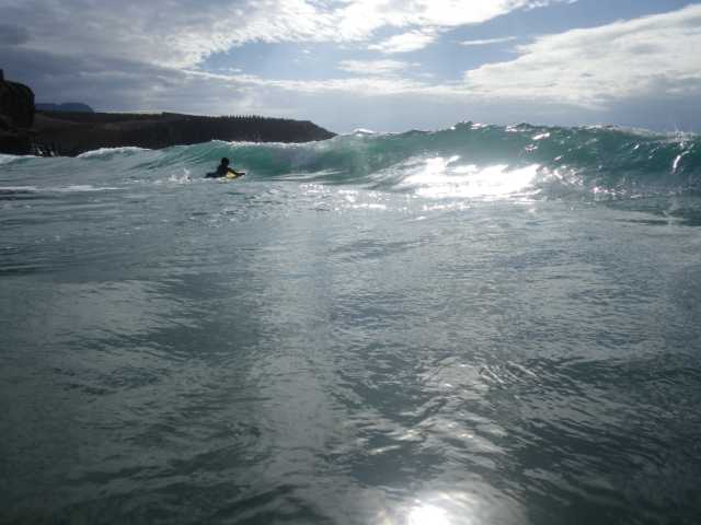 IMGP0941.JPG