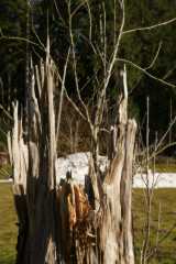 DSC05384.JPG