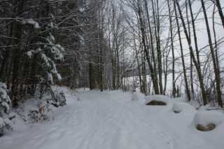 DSC05650.JPG