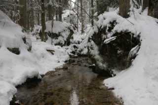 DSC05670.JPG