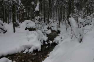 DSC05682.JPG