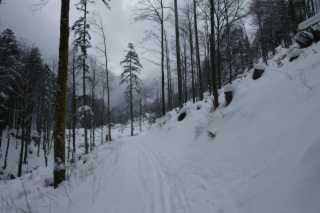 DSC05684.JPG