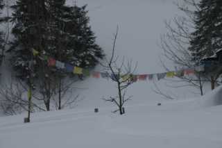 DSC05935.JPG