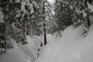 DSC05975.JPG