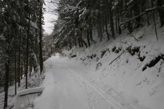 DSC05664.JPG
