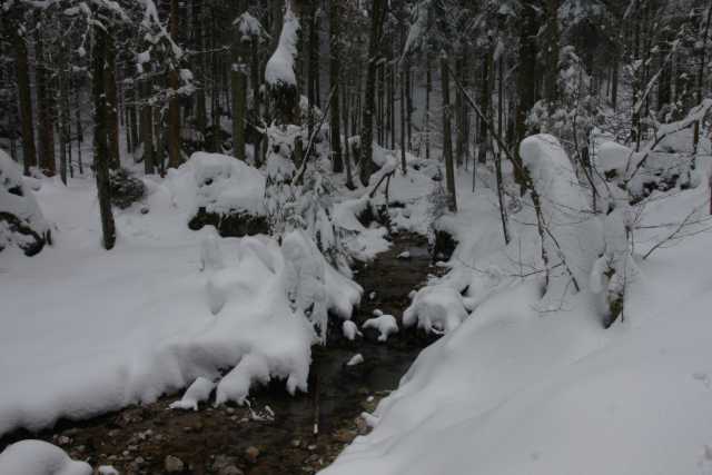 DSC05682.JPG
