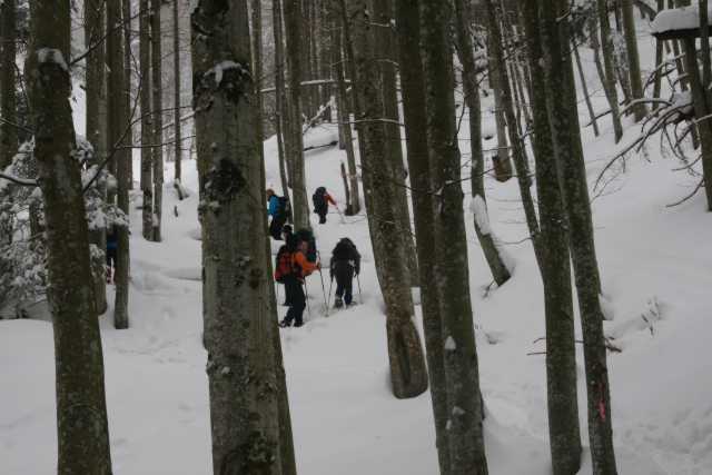 DSC05725.JPG