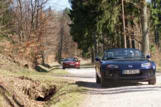 DSC06484.JPG