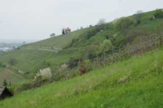 DSC06565.JPG
