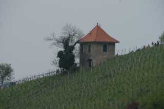 DSC06566.JPG