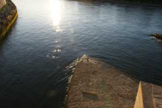 DSC06764.JPG