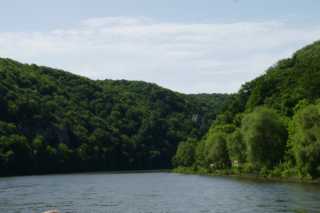 DSC06837.JPG