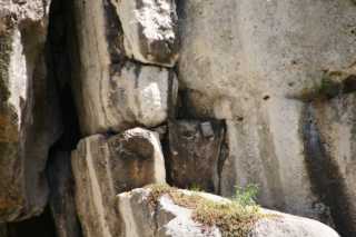 DSC06887.JPG