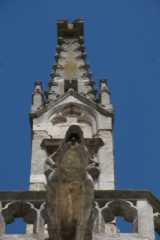 DSC07023.JPG