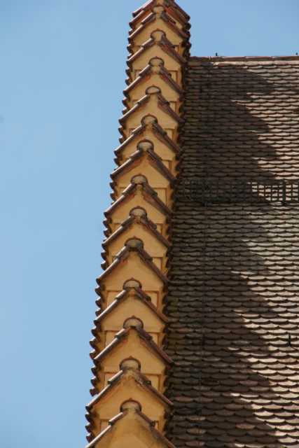 DSC07048.JPG