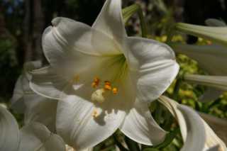 DSC07171.JPG