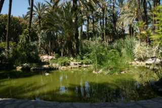DSC07184.JPG