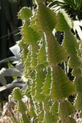 DSC07188.JPG