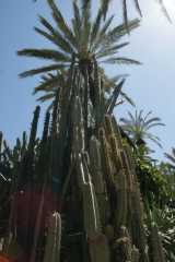 DSC07189.JPG