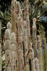 DSC07190.JPG