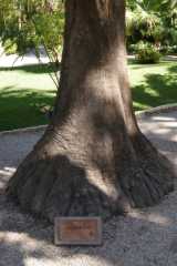 DSC07201.JPG