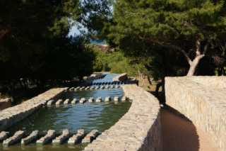 DSC07227.JPG