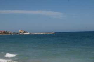 DSC07306.JPG