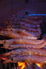 DSC07312.JPG