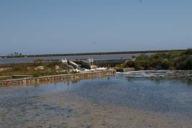 DSC07290.JPG