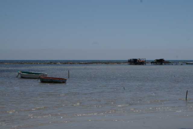 DSC07296.JPG