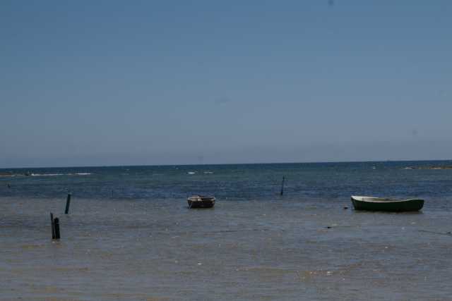 DSC07299.JPG