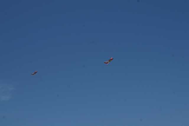 DSC07301.JPG