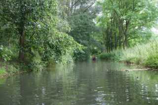 DSC09211.JPG