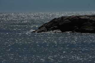 DSC00089.JPG