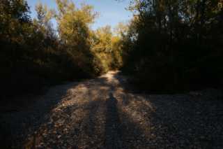 DSC00168.JPG