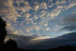 DSC09330.JPG