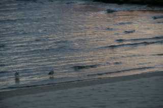 DSC09376.JPG