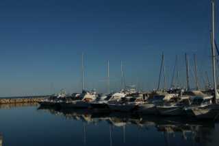 DSC09442.JPG