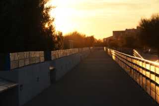 DSC09476.JPG