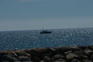 DSC09584.JPG