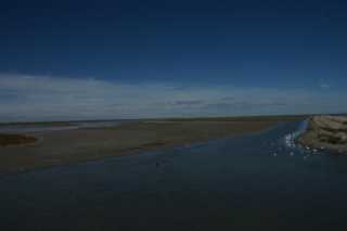 DSC09610.JPG